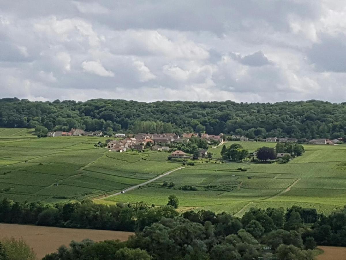 Le Domaine De L Etang Le Merger Oeuilly Exteriér fotografie